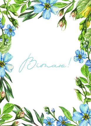 Поздравляю!, "blue flowers"
