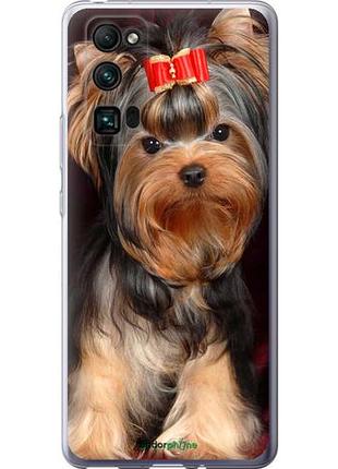 Чехол на huawei honor 30 pro йоркширский терьер "929u-1920-10746"
