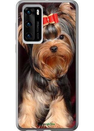 Чохол на huawei p40 йоркширський тер'єр "929u-1840-10746"