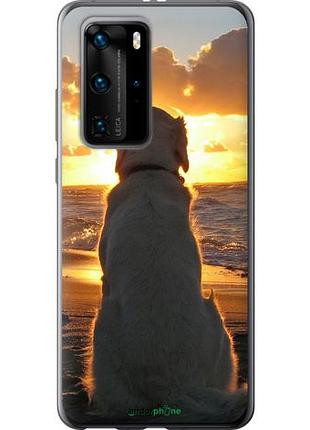 Чехол на huawei p40 pro закат и собака "3966u-1839-10746"