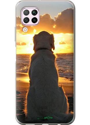 Чехол на huawei nova 6se закат и собака "3966u-1823-10746"