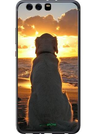 Чехол на huawei p10 plus закат и собака "3966u-963-10746"