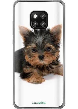 Чохол на huawei mate 20 pro цуценя йоркширського тер'єра "931u-1567-10746"