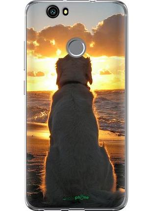 Чохол на huawei nova захід і собака "3966u-439-10746"