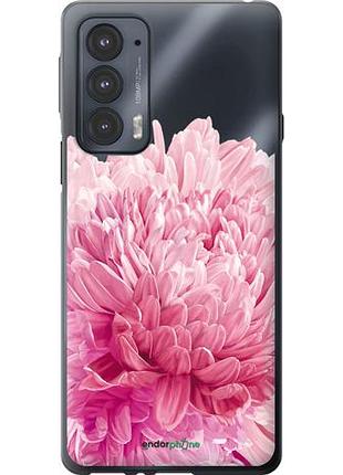 Чехол на motorola edge 20 хризантема "4666u-2497-10746"
