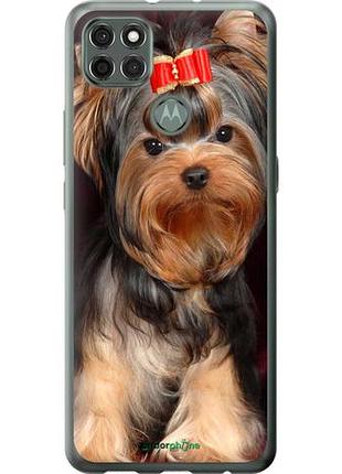 Чехол на motorola g9 power йоркширский терьер "929u-2229-10746"