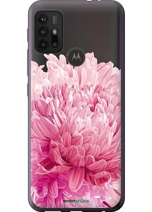 Чехол на motorola moto g20 хризантема "4666u-2461-10746"