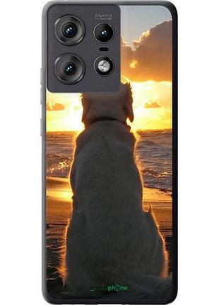Чохол на motorola edge 50 pro 5g захід і собака "3966u-3710-10746"