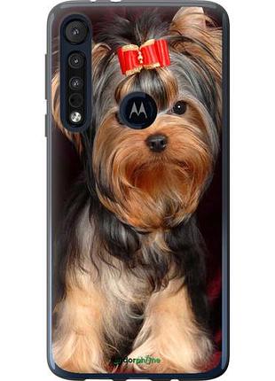 Чехол на motorola one macro йоркширский терьер "929u-1812-10746"