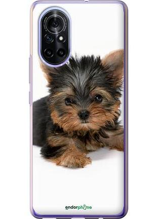 Чехол на huawei nova 8 щенок йоркширского терьера "931u-2245-10746"