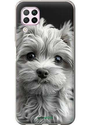 Чехол на huawei nova 6se мальтипу на чорном фоне "6156u-1823-10746"