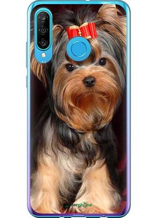 Чехол на huawei p30 lite йоркширский терьер "929u-1651-10746"