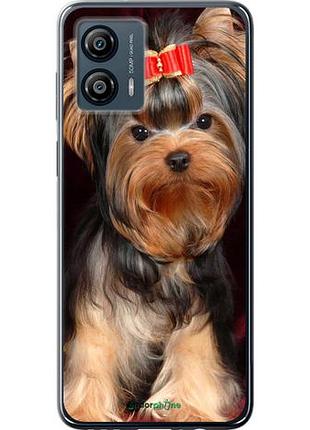 Чехол на motorola moto g53 йоркширский терьер "929u-3047-10746"
