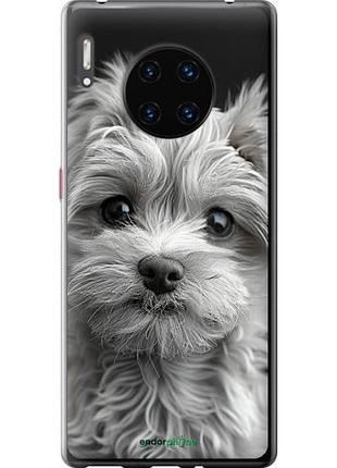 Чехол на huawei mate 30 pro мальтипу на чорном фоне "6156u-1796-10746"