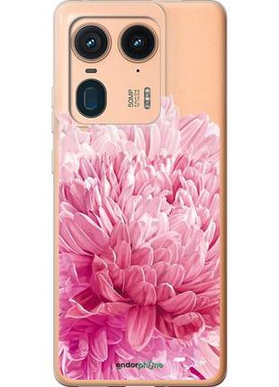 Чехол на motorola moto x50 ultra хризантема "4666u-3866-10746"