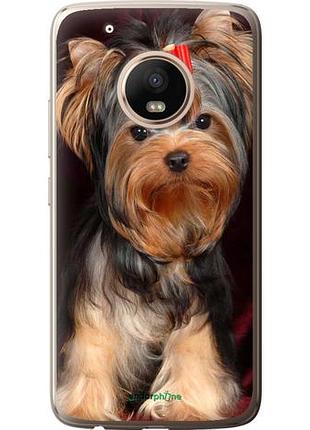 Чохол на motorola moto g5 plus йоркширський тер'єр "929u-1038-10746"