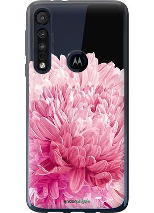 Чехол на motorola one macro хризантема "4666u-1812-10746"