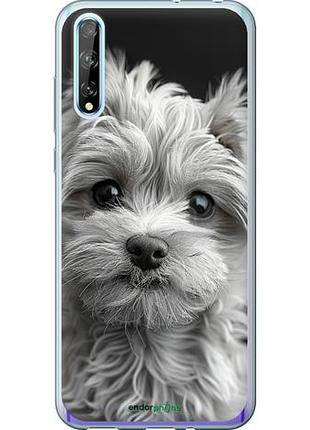 Чехол на huawei p smart s мальтипу на чорном фоне "6156u-1813-10746"