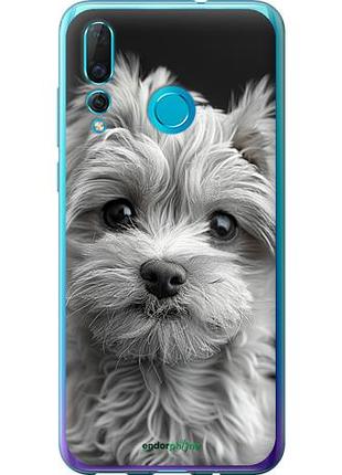 Чехол на huawei nova 4 мальтипу на чорном фоне "6156u-1632-10746"