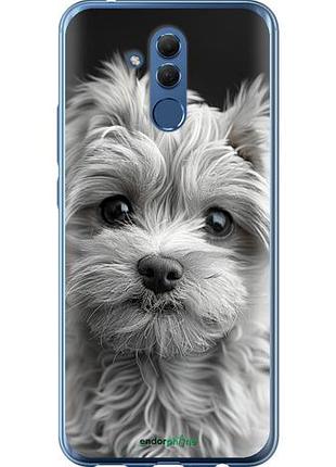 Чехол на huawei mate 20 lite мальтипу на чорном фоне "6156u-1575-10746"