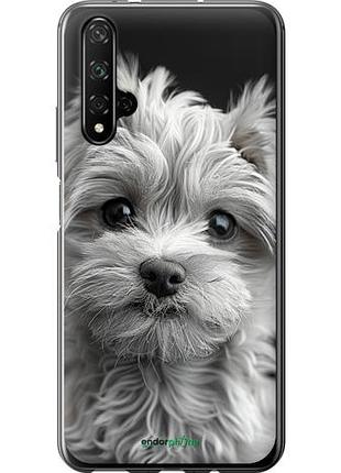 Чехол на huawei honor 20 мальтипу на чорном фоне "6156u-1697-10746"