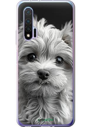 Чехол на huawei nova 6 мальтипу на чорном фоне "6156u-1821-10746"