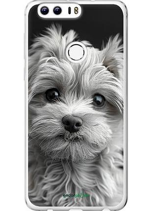Чехол на huawei honor 8 мальтипу на чорном фоне "6156u-351-10746"