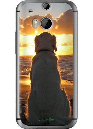 Чехол на htc one m8 закат и собака "3966u-30-10746"