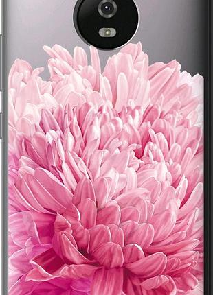 Чехол на motorola moto g5 хризантема "4666u-832-10746"