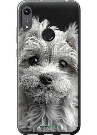 Чехол на huawei honor 8a мальтипу на чорном фоне "6156u-1635-10746"