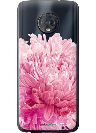 Чехол на motorola moto g6 plus хризантема "4666u-976-10746"
