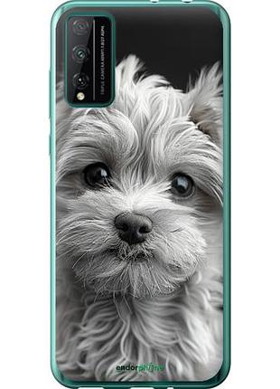 Чехол на huawei honor play 4t pro мальтипу на чорном фоне "6156u-1914-10746"