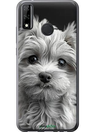 Чехол на huawei y8s мальтипу на чорном фоне "6156u-2027-10746"