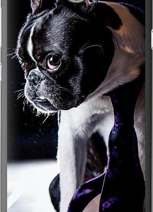 Чехол на huawei y5 ii бульдог-фотограф "142u-496-10746"