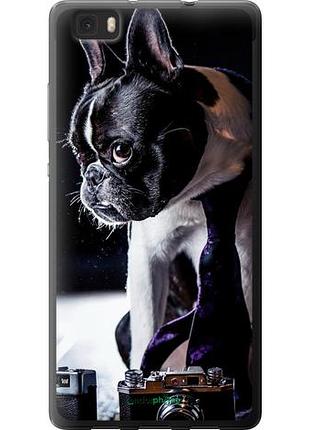 Чехол на huawei ascend p8 lite бульдог-фотограф "142u-126-10746"