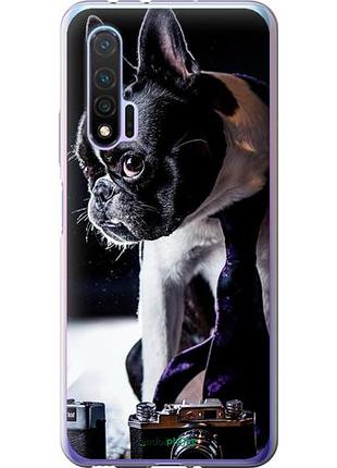 Чехол на huawei nova 6 бульдог-фотограф "142u-1821-10746"