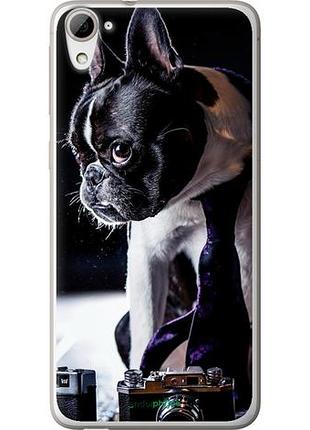 Чехол на htc desire 826 dual sim бульдог-фотограф "142u-312-10746"