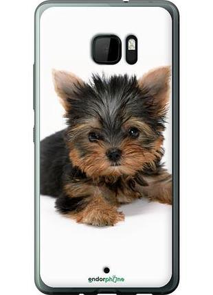 Чехол на htc u ultra щенок йоркширского терьера "931u-833-10746"