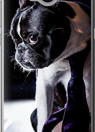 Чехол на huawei y5 2017 бульдог-фотограф "142u-992-10746"