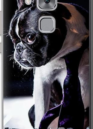 Чехол на huawei nova plus бульдог-фотограф "142u-961-10746"