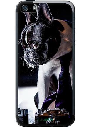 Чехол на iphone se бульдог-фотограф "142u-214-10746"