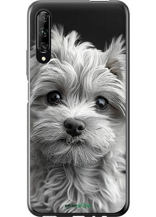 Чехол на huawei p smart pro мальтипу на чорном фоне "6156u-1906-10746"
