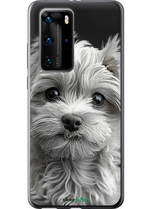 Чехол на huawei p40 pro мальтипу на чорном фоне "6156u-1839-10746"