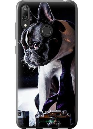 Чехол на huawei y7 2019 бульдог-фотограф "142u-1638-10746"