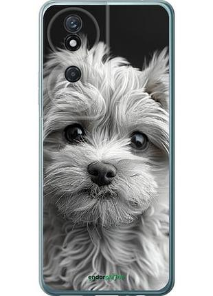 Чехол на huawei honor play 50 plus мальтипу на чорном фоне "6156u-3399-10746"
