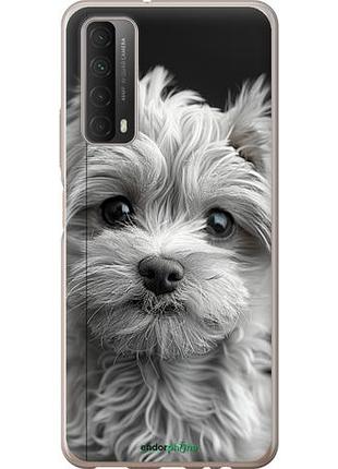 Чехол на huawei p smart 2021 мальтипу на чорном фоне "6156u-2100-10746"