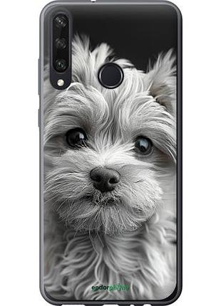 Чехол на huawei y6p мальтипу на чорном фоне "6156u-1952-10746"