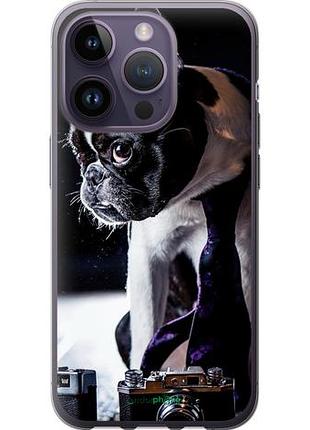 Чехол на iphone 14 pro бульдог-фотограф "142u-2646-10746"