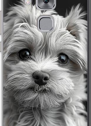 Чехол на huawei nova plus мальтипу на чорном фоне "6156u-961-10746"