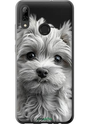 Чехол на huawei p smart 2019 мальтипу на чорном фоне "6156u-1634-10746"